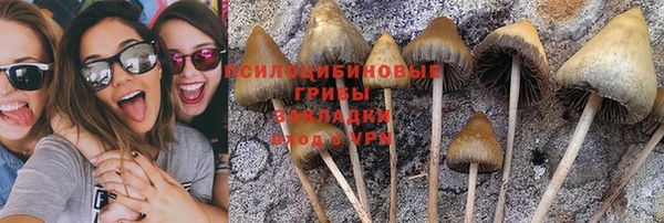 бутират Белокуриха