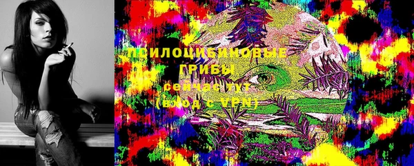 бутират Белокуриха