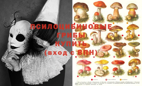 гашиш Семёнов